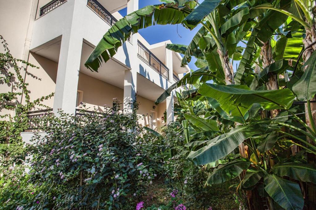 Bali Dorian Apartments Buitenkant foto
